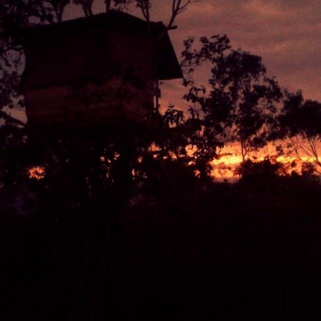 Rumah Pohon Batununggul Εξωτερικό φωτογραφία